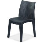 Lady kertibútorszett